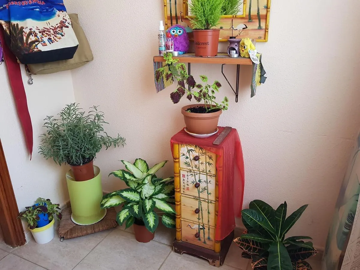 Laurainu Apartment Puerto del Rosario  Homestay Puerto del Rosario (Fuerteventura)